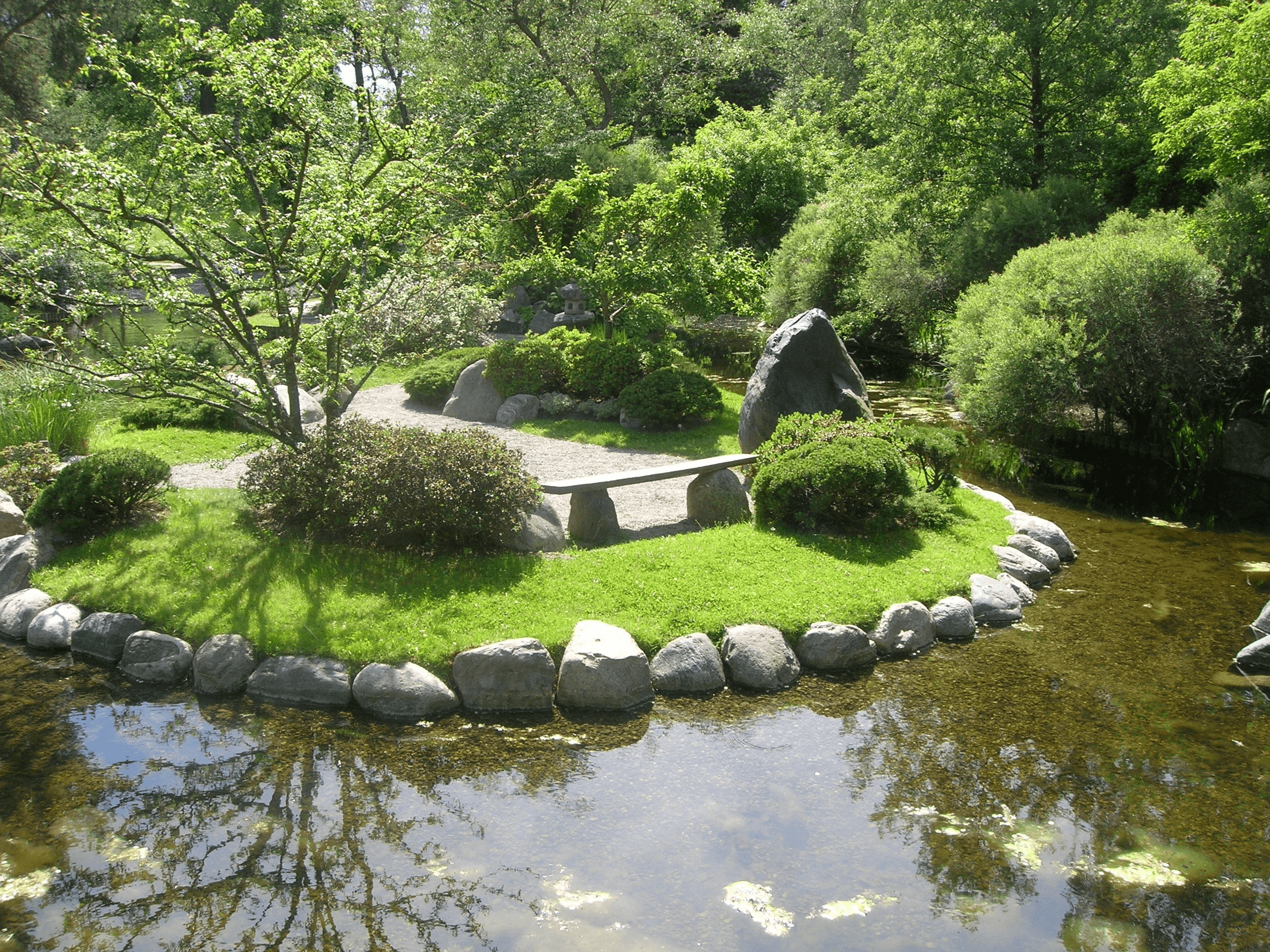 trädgård